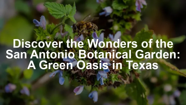 Featured image for Discover the Wonders of the San Antonio Botanical Garden: A Green Oasis in Texas