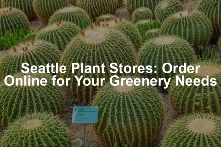 Featured image for Seattle Plant Stores: Order Online for Your Greenery Needs