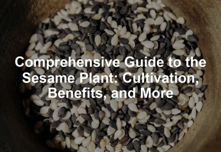 Featured image for Comprehensive Guide to the Sesame Plant: Cultivation, Benefits, and More