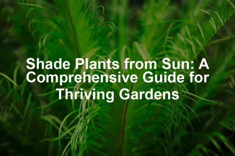 Featured image for Shade Plants from Sun: A Comprehensive Guide for Thriving Gardens