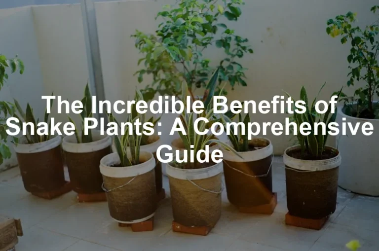 Featured image for The Incredible Benefits of Snake Plants: A Comprehensive Guide