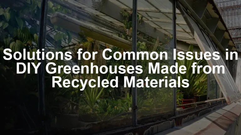 Featured image for Solutions for Common Issues in DIY Greenhouses Made from Recycled Materials