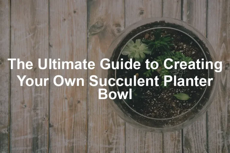 Featured image for The Ultimate Guide to Creating Your Own Succulent Planter Bowl
