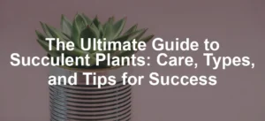Featured image for The Ultimate Guide to Succulent Plants: Care, Types, and Tips for Success