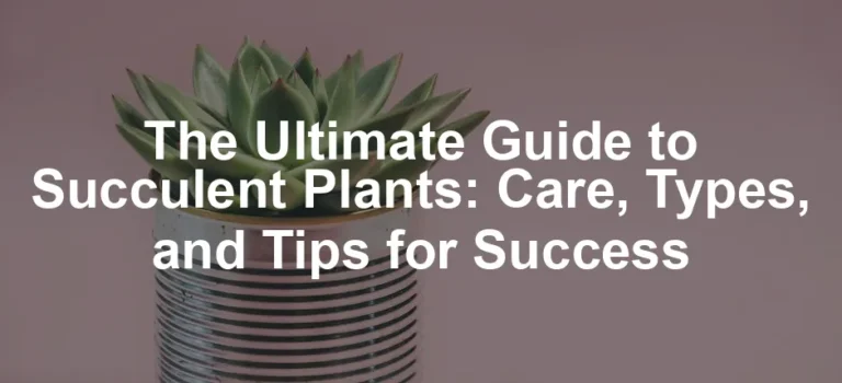Featured image for The Ultimate Guide to Succulent Plants: Care, Types, and Tips for Success
