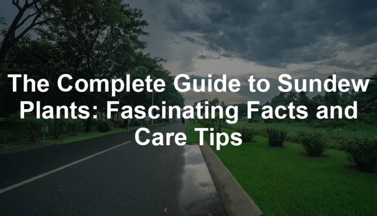 Featured image for The Complete Guide to Sundew Plants: Fascinating Facts and Care Tips