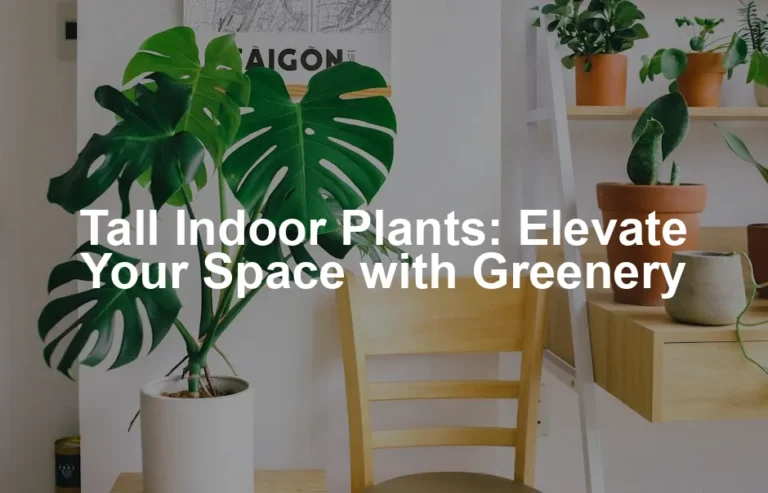 Featured image for Tall Indoor Plants: Elevate Your Space with Greenery