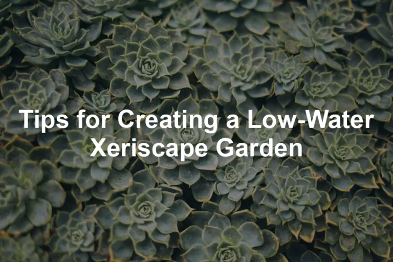 Featured image for Tips for Creating a Low-Water Xeriscape Garden
