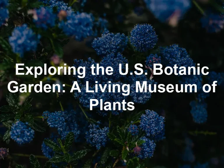 Featured image for Exploring the U.S. Botanic Garden: A Living Museum of Plants