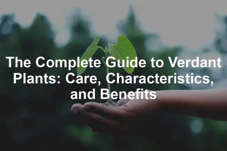 Featured image for The Complete Guide to Verdant Plants: Care, Characteristics, and Benefits