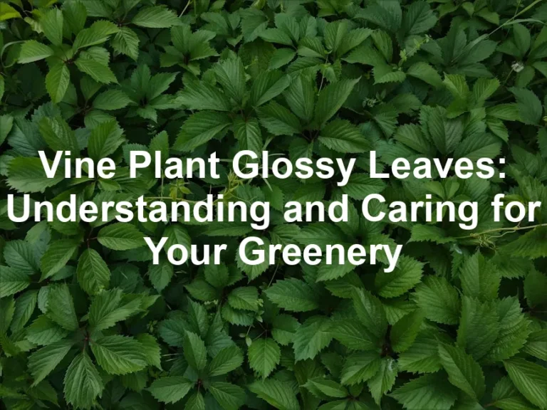 Featured image for Vine Plant Glossy Leaves: Understanding and Caring for Your Greenery