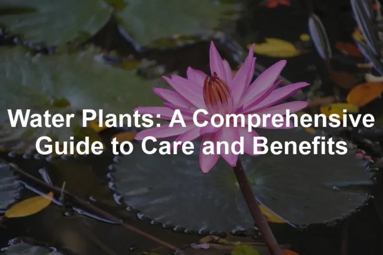 Featured image for Water Plants: A Comprehensive Guide to Care and Benefits
