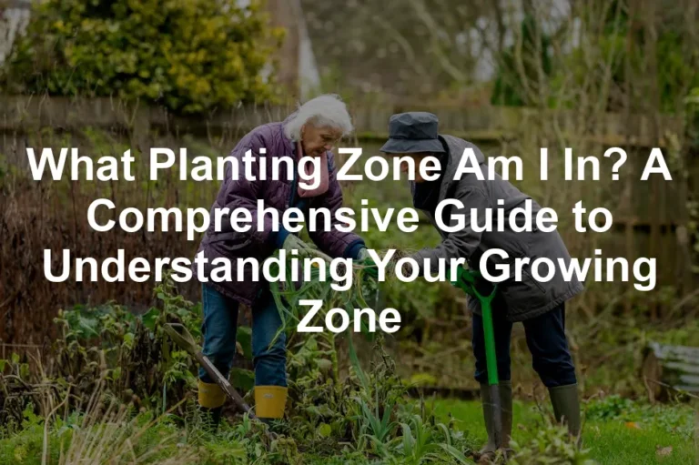 Featured image for What Planting Zone Am I In? A Comprehensive Guide to Understanding Your Growing Zone