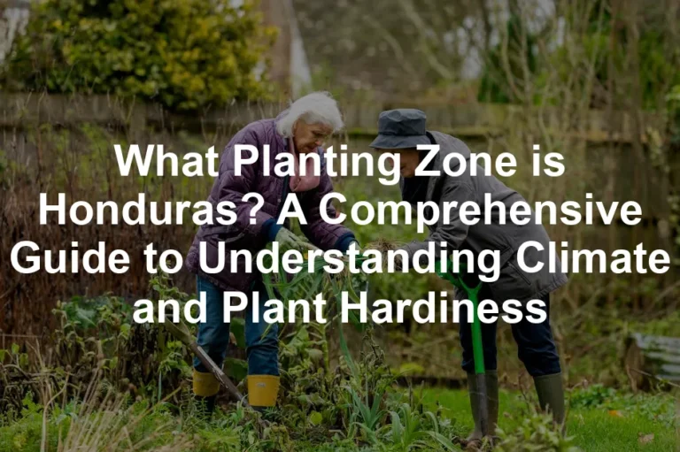 Featured image for What Planting Zone is Honduras? A Comprehensive Guide to Understanding Climate and Plant Hardiness