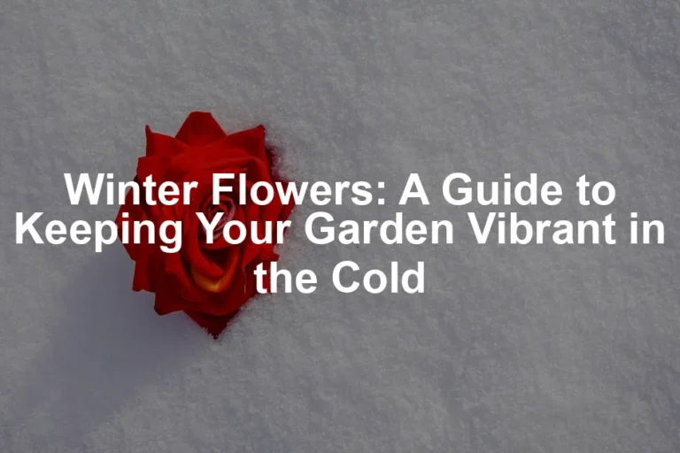 Featured image for Winter Flowers: A Guide to Keeping Your Garden Vibrant in the Cold