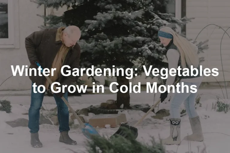 Featured image for Winter Gardening: Vegetables to Grow in Cold Months