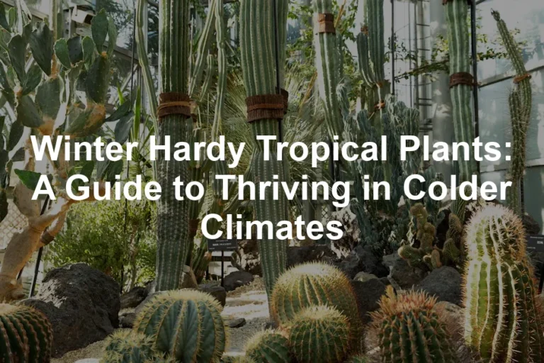 Featured image for Winter Hardy Tropical Plants: A Guide to Thriving in Colder Climates