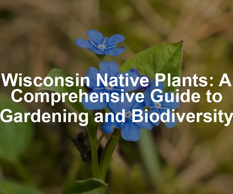 Featured image for Wisconsin Native Plants: A Comprehensive Guide to Gardening and Biodiversity