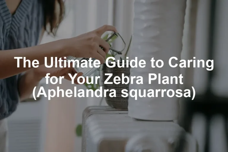 Featured image for The Ultimate Guide to Caring for Your Zebra Plant (Aphelandra squarrosa)