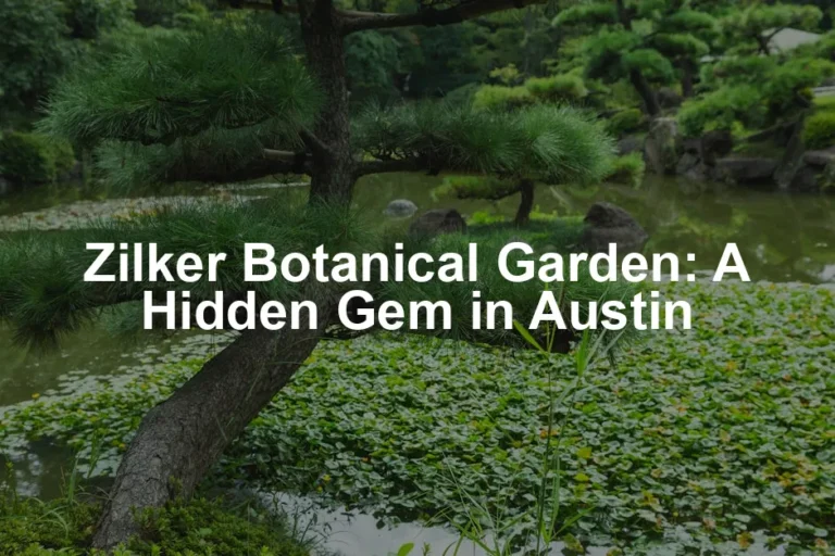Featured image for Zilker Botanical Garden: A Hidden Gem in Austin