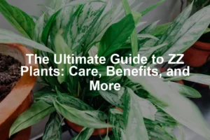 Featured image for The Ultimate Guide to ZZ Plants: Care, Benefits, and More