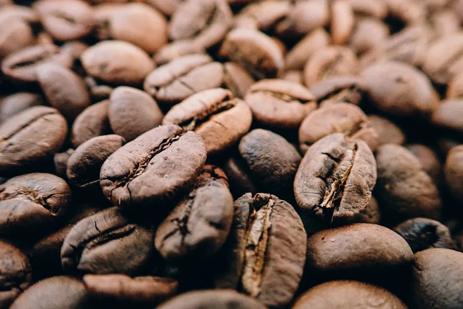 Brown Beans
