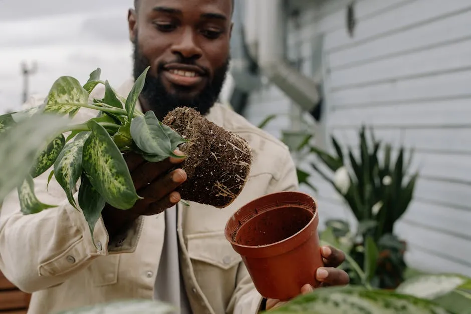 African American man gardening by repotting a plant outdoors, showcasing horticulture skills.