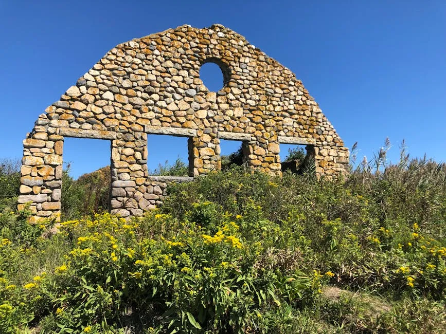 A 19th-century stone ruin surrounded by vibrant wildflowers under a clear blue summer sky.