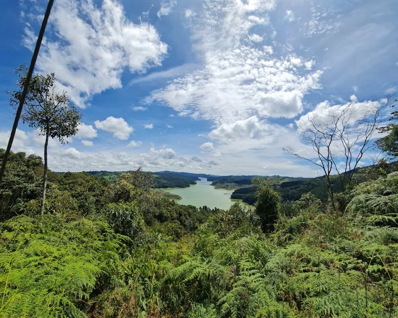 Breathtaking view of a lush green valley with a winding river under a vibrant blue sky.