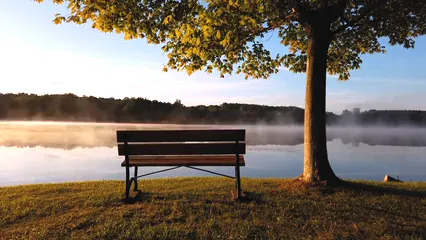 Horizontal video: A wooden bench besides a foggy lake 2883389. Duration: 20 seconds. Resolution: 1920x1080