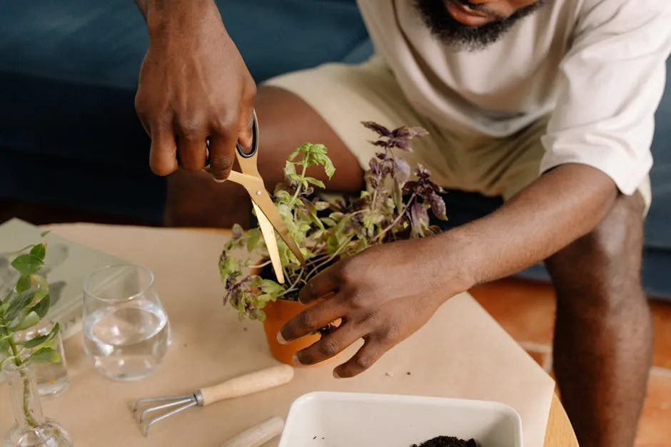 Close-up of a man using scissors to prune a potted plant indoors.