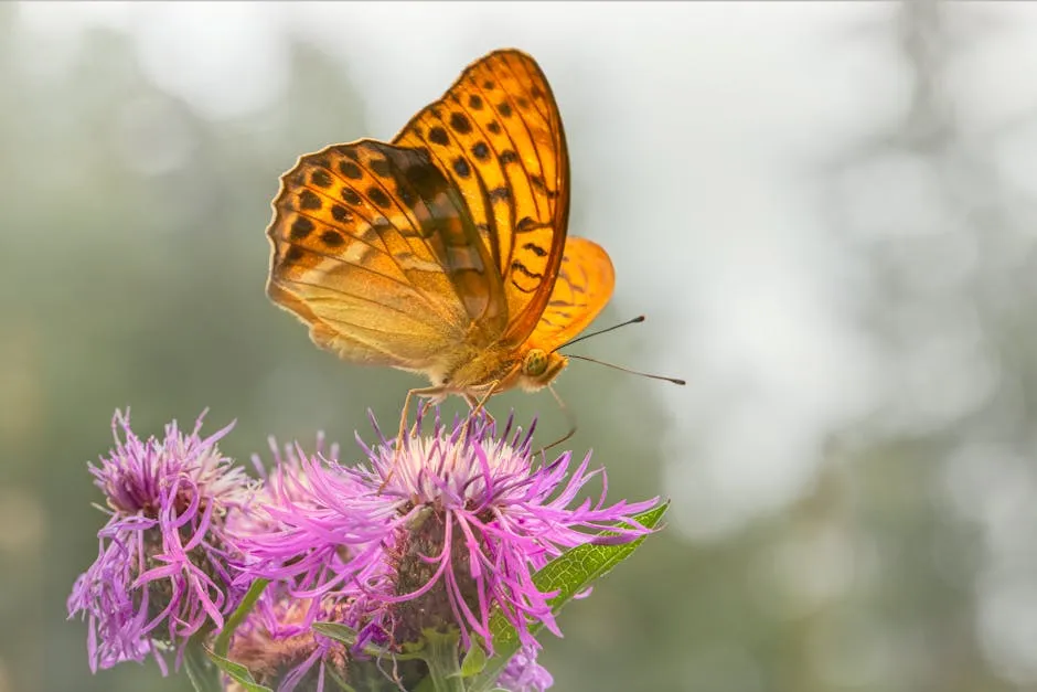 Brown Butterfly Perched on Purple Flower