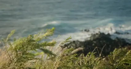 Horizontal video: Slow motion shot of big waves in the ocean 4188896. Duration: 15 seconds. Resolution: 4096x2160