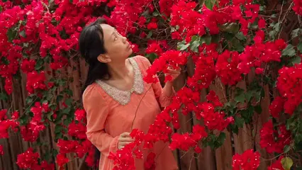 Horizontal video: A woman smelling the red bougainvilleas 8297823. Duration: 18 seconds. Resolution: 1920x1080