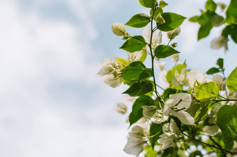 Leaves on Branch