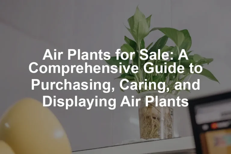 Featured image for Air Plants for Sale: A Comprehensive Guide to Purchasing, Caring, and Displaying Air Plants