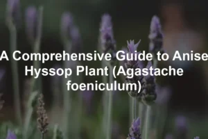 Featured image for A Comprehensive Guide to Anise Hyssop Plant (Agastache foeniculum)