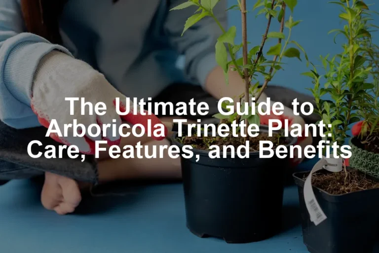 Featured image for The Ultimate Guide to Arboricola Trinette Plant: Care, Features, and Benefits