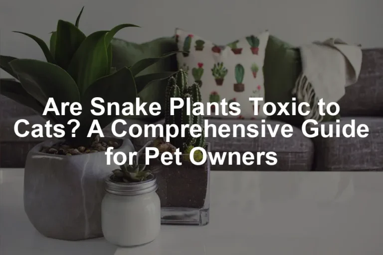 Featured image for Are Snake Plants Toxic to Cats? A Comprehensive Guide for Pet Owners