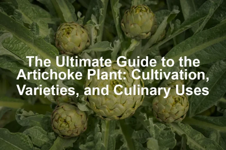 Featured image for The Ultimate Guide to the Artichoke Plant: Cultivation, Varieties, and Culinary Uses
