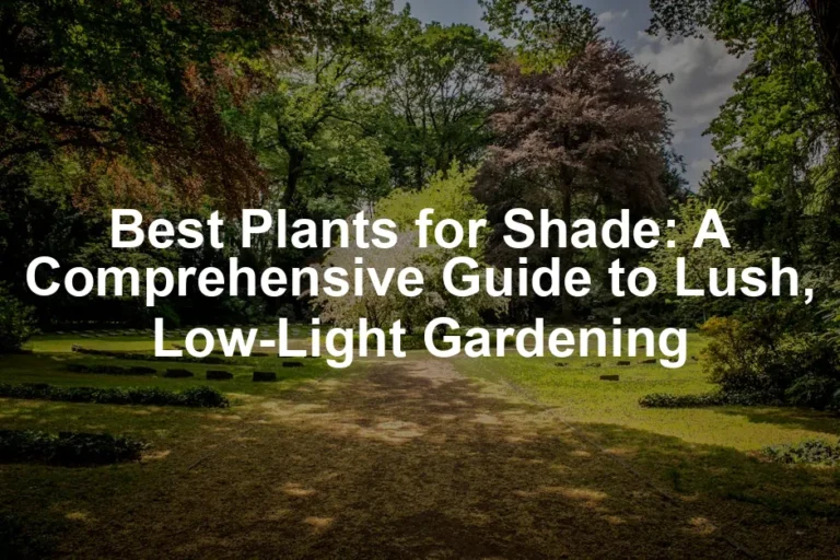 Featured image for Best Plants for Shade: A Comprehensive Guide to Lush, Low-Light Gardening