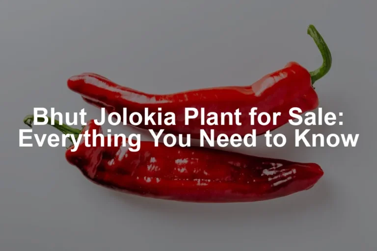 Featured image for Bhut Jolokia Plant for Sale: Everything You Need to Know