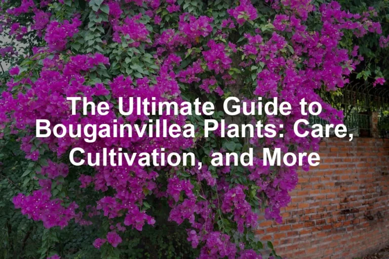Featured image for The Ultimate Guide to Bougainvillea Plants: Care, Cultivation, and More