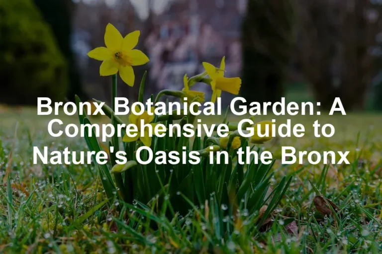 Featured image for Bronx Botanical Garden: A Comprehensive Guide to Nature's Oasis in the Bronx