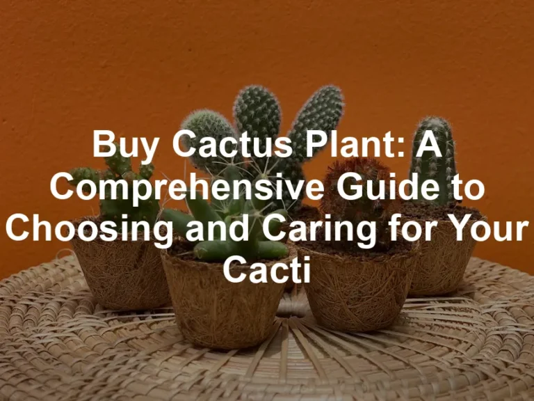 Featured image for Buy Cactus Plant: A Comprehensive Guide to Choosing and Caring for Your Cacti