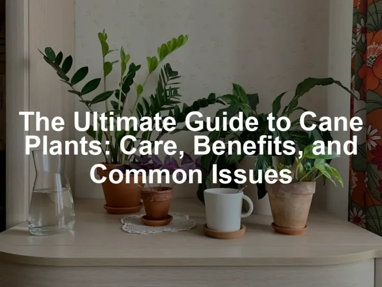 Featured image for The Ultimate Guide to Cane Plants: Care, Benefits, and Common Issues