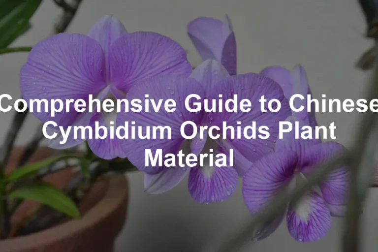 Featured image for Comprehensive Guide to Chinese Cymbidium Orchids Plant Material
