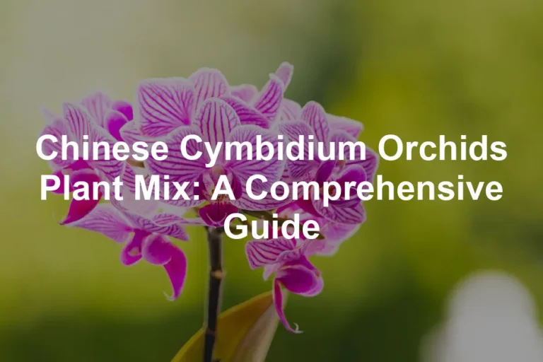 Featured image for Chinese Cymbidium Orchids Plant Mix: A Comprehensive Guide
