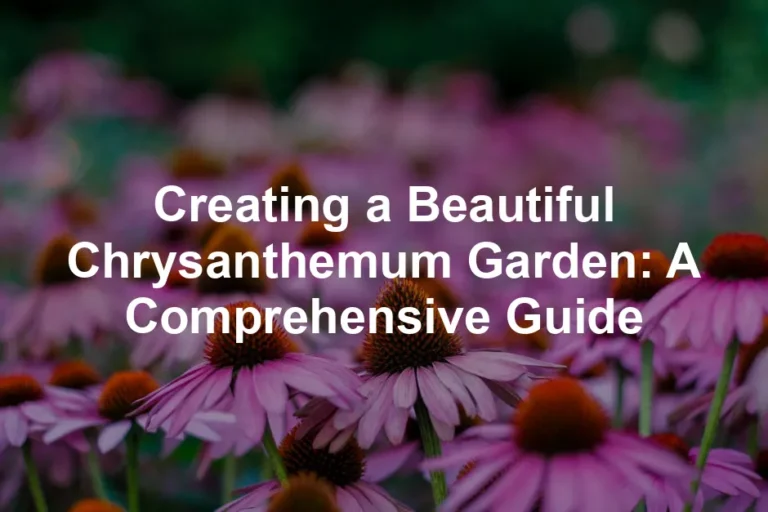 Featured image for Creating a Beautiful Chrysanthemum Garden: A Comprehensive Guide