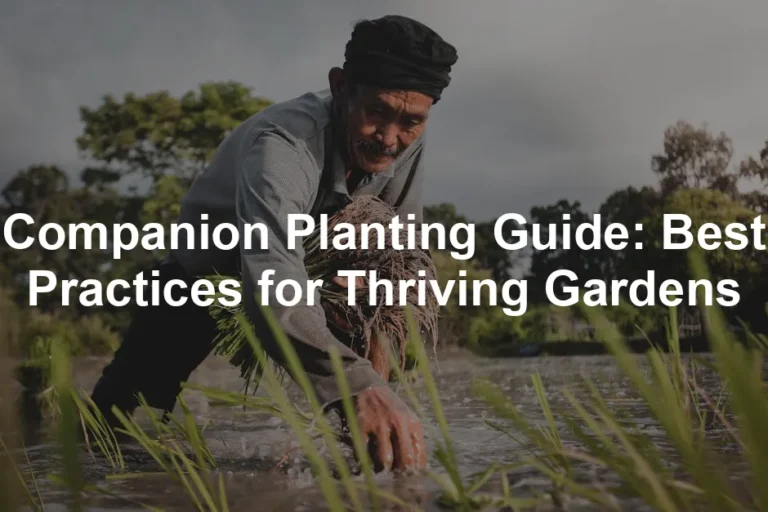 Featured image for Companion Planting Guide: Best Practices for Thriving Gardens